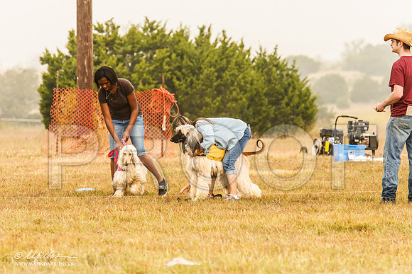 _MJ_3590-AfgBeltonOct2014-HR3