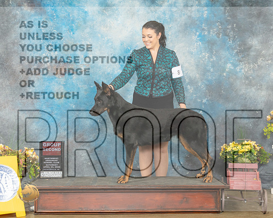 Beauceron #6 FRI G2 Judge John Wade r-MMJ_0520-NWARK2022-HR3
