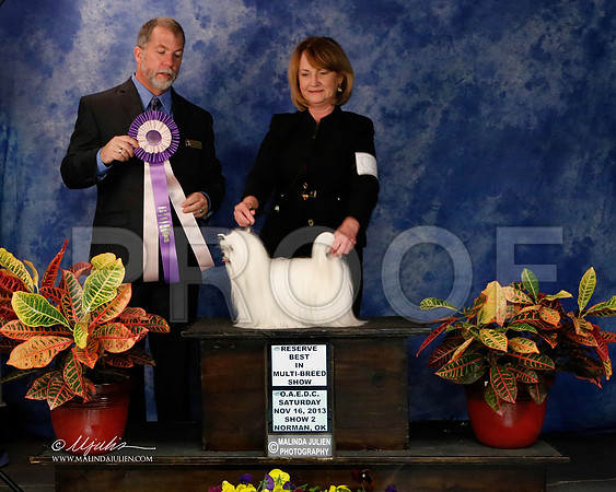 _J2_8981-NormNov2013-HR