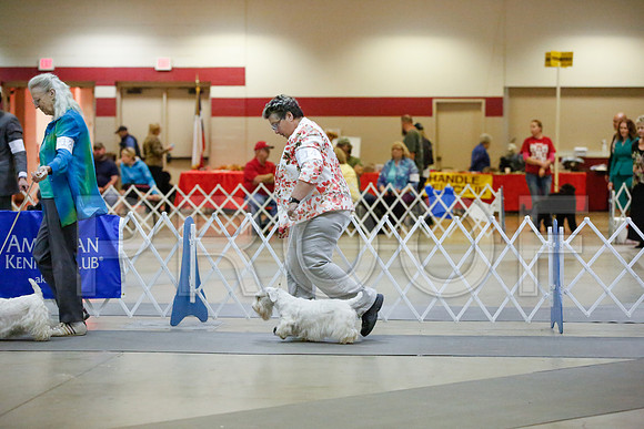 _JN_0115-AmarilloSept2014-HR3