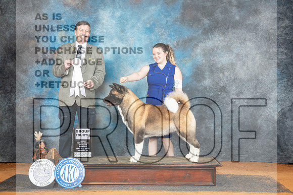 Akita #6 Sun G4 Judge Jim Fehring__JP_8786_MARSHALL_2024_HR3