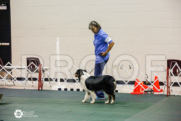 _JJ_5095-BsrCtyJun2014-HR3