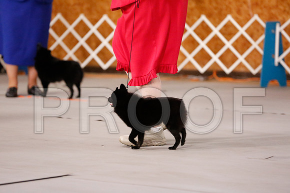 _RH_8692-CarlrolltonSept2014-HR3