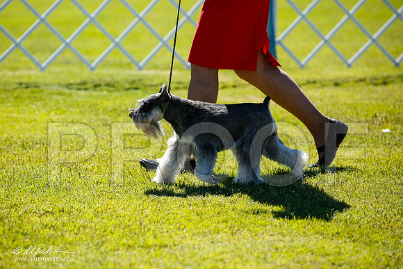 _JN_4654-AlamogordoOct2014-HR3