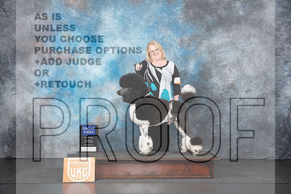 Poodle Std MC #259 Sat G1 Judge Nancy Gallant__JP_1250_UKCLNGVIEWOCT2024_2024_HR3