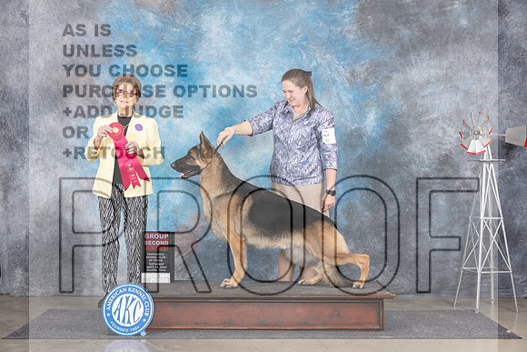 German Shepherd Dog #5 Sat G2 Judge Pat Trotter__JP_5926e_Amarillo2024-HR3