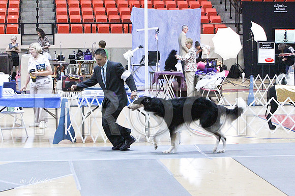 HoundGrp-6888LR