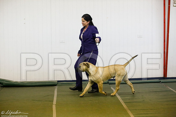 _JJ_5333-DentonMar2015-HR3