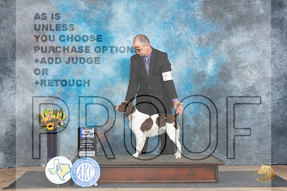 Brittany #8 Sat WBBOWM Judge Sharol Candace Way__JP_9769_Abilene_2024_HR3