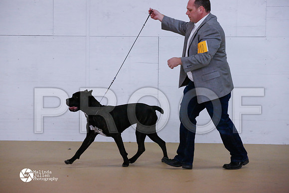 Cane-6048-HtoJan14-HR