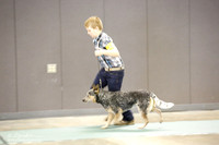 Herding Sat S2
