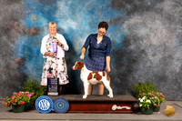 Brittany #6 Sun WB Judge Debra Thornton
