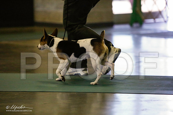 _LH_3594-BeltonJan2015-HR3