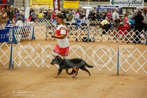 _JN_2205-TxArJun2014-HR3