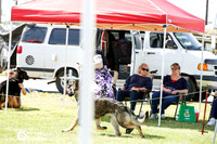 Teenage Futurity Dogs Fri Ring