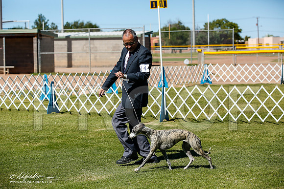 _JJ_0302-AlamogordoOct2014-HR3