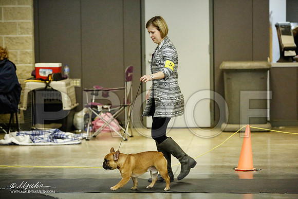 _JJ_5549-BeltonJan2015IABCA-HR3