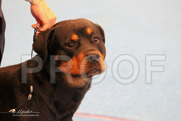 Rott-9594LR