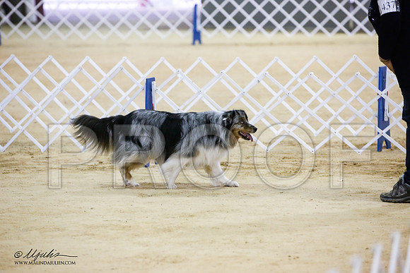 _JJ_6617-ASCACollegeStationNov2014-HR3