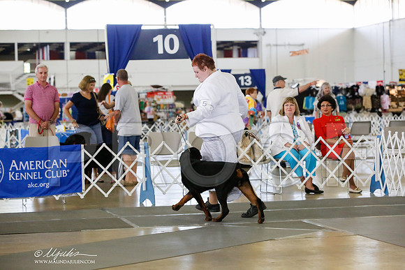 _HR_3934-DallasJul2014-HR3