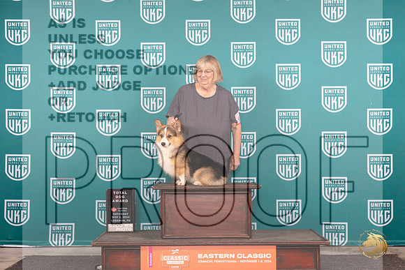 Pembroke Welsh Corgi #201 Fri RGCH TD Polly Jones__JP_2063_UKCEastern_2024_HR3