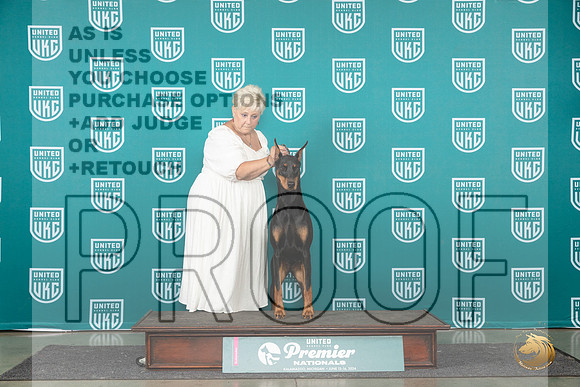 Doberman Pinscher #1266 RCH Judge Lori Sargent__JP_2183_Premier_2024_HR3