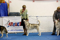 Best of Breed Sat Rings