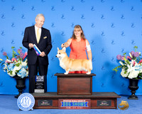 Donna Brosche Houston 2024