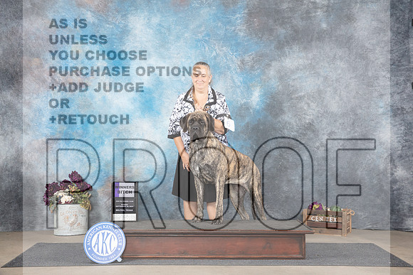 Mastiff #6 Sun WB Judge Eric Liebes__JP_7658_Belton_2024_HR3