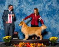 Retrievers Golden #15 Sun G2 Keen Debra Agent Rebecca Heimann Judge Mr James Fehring