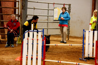Wendy Hodges Belton Agility Trial Nov 2013 Favorites