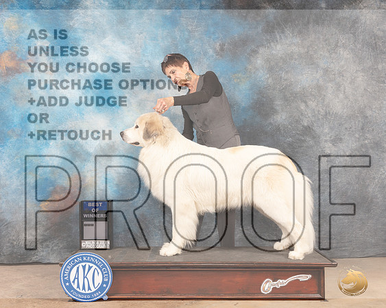 Great Pyrenees #7 FW BOW Judge Steve Keating-MMJ_4885-Abilene2022-HR3