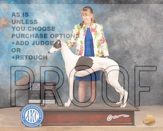 Greyhound #7 SAT WDBOWOHBOBM Judge Eric Liebes-MMJ_3635-Abilene2022-HR3