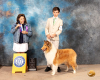 Collie Rough #20 Sun BOWM Judge Joan Liebes