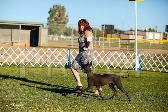 _JN_7912-AlamogordoOct2014-HR3
