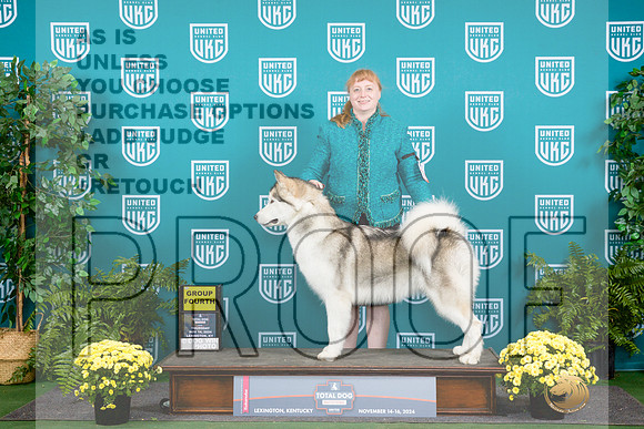 Alaskan Malamute #127 Thur Sat__JP_2722_UKCTDI2024_HR3