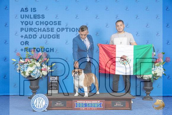 Bulldog #25 FRI BOW M Judge Sandra Lex__JP_0180_Houston_2024_HR3