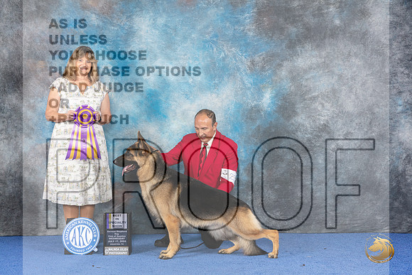 German Shepherd Dog #23 WED BOB Judge Danelle Brown__JP_6976_Houston_2024_HR3