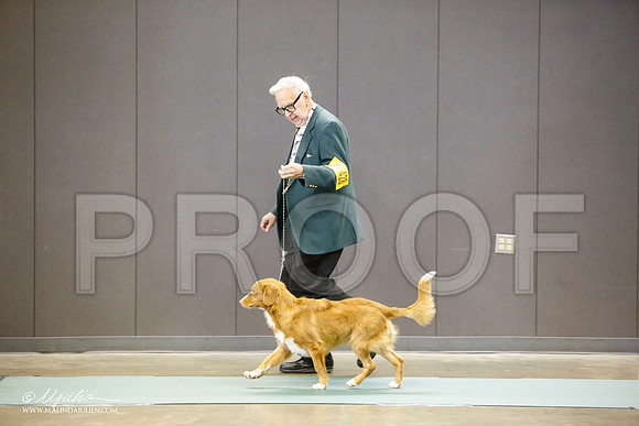 _LH_3081-BeltonJan2015-HR3