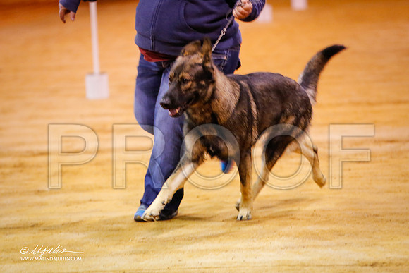 GSD-9184-MrshllDec13-HR
