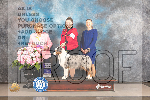 Australian Shepherd #34 FRI WB Judge Polly Smith_MJ_4879_Houston_2022_HR3