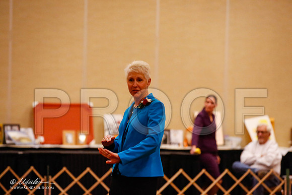 _JJ_8842-HstnCorgiFeb2015-HR3