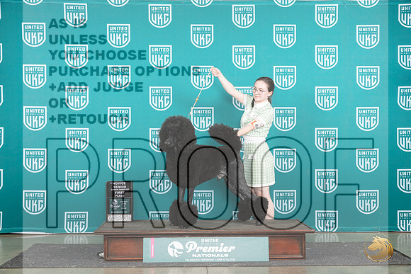 Poodle Std #872 Fri NovSr1Jr Judge Lori Sargent__JP_1893_Premier_2024_HR3