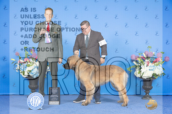 Leonberger #5 SUN WD BOW NC M Judge Ronald Freeman_JP_0033e_Houston_2024-HR3