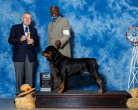 Rottweilers #6 Sun BOB Surratt Michael Judge Mr Terry Stacy
