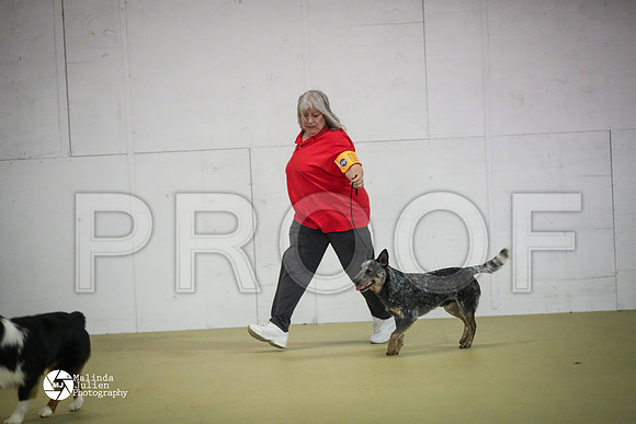ACD-8349-HtoJan14-HR