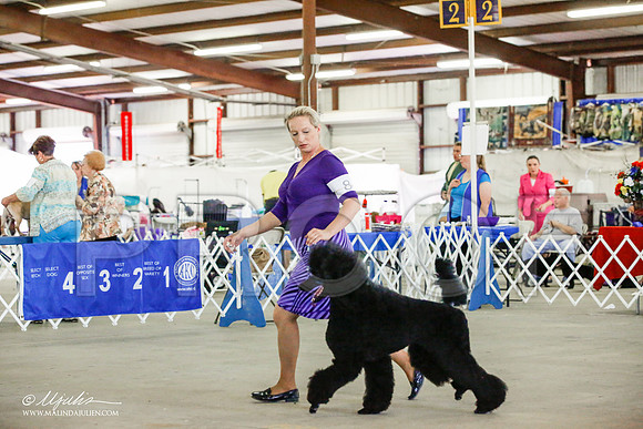 _JJ_4602-AlamogordoOct2014-HR3