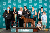 Thai Ridgeback #1104 Thur T10 2nd