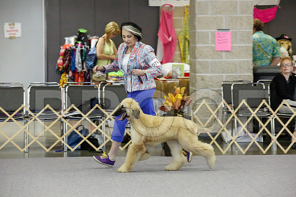 _JJ_1385-AfgBeltonOct2014-HR3