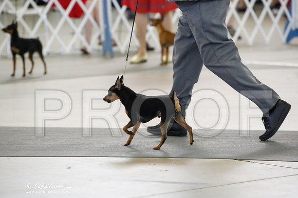 _CK_0480-DallasJul2014-HR3